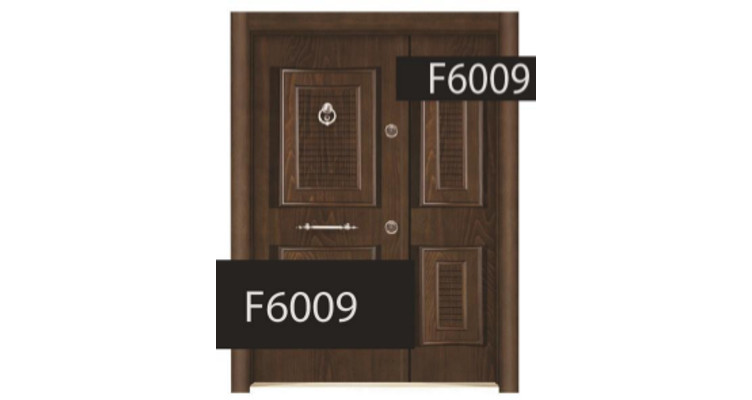 درب ضد سرقت مدل F6009