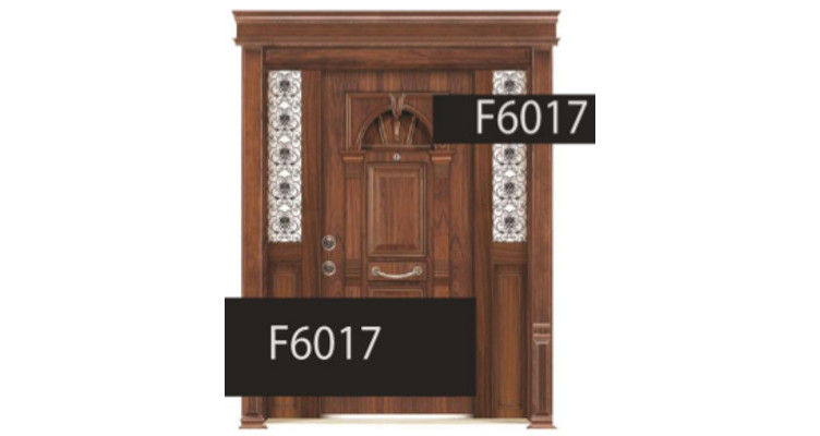درب ضد سرقت مدل F6017