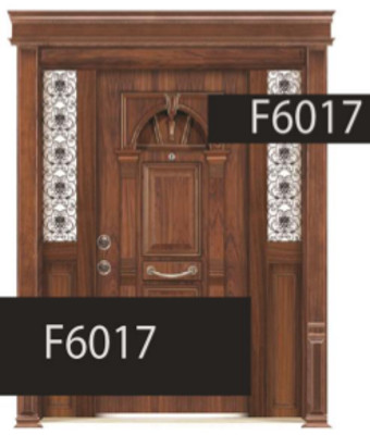 درب ضد سرقت مدل F6017